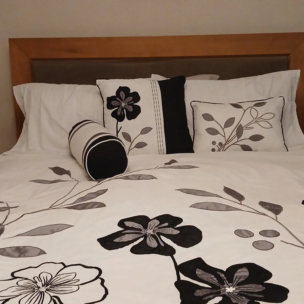 Q. Duvet Cover Set & 3 decorative pillows.